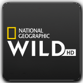Nat Geo Wild HD RO