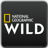 National Geographic HD TR